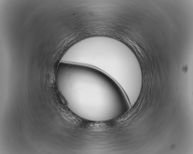 X0000096380517200801241006