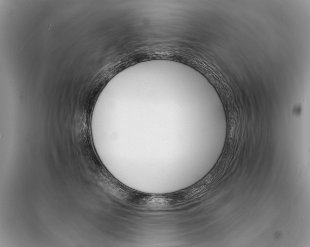 X0000096380518200801241006