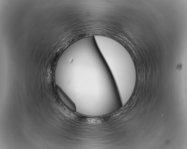 X0000096380520200801241006