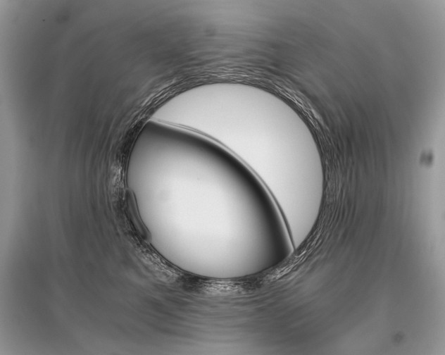 X0000096380521200801241006