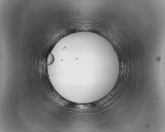 X0000096380522200801241006