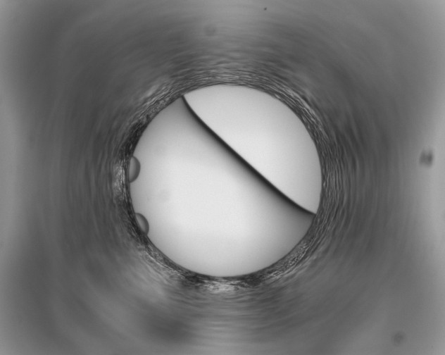 X0000096380523200801241006