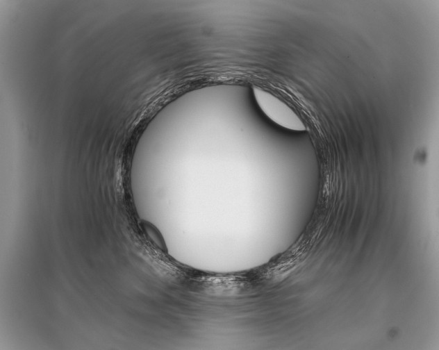 X0000096380524200801241006