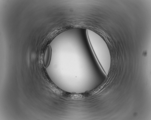 X0000096380525200801241006