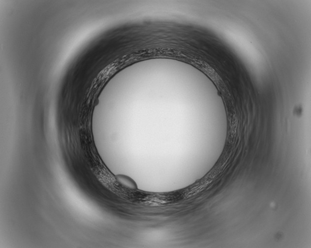 X0000096380526200801241006