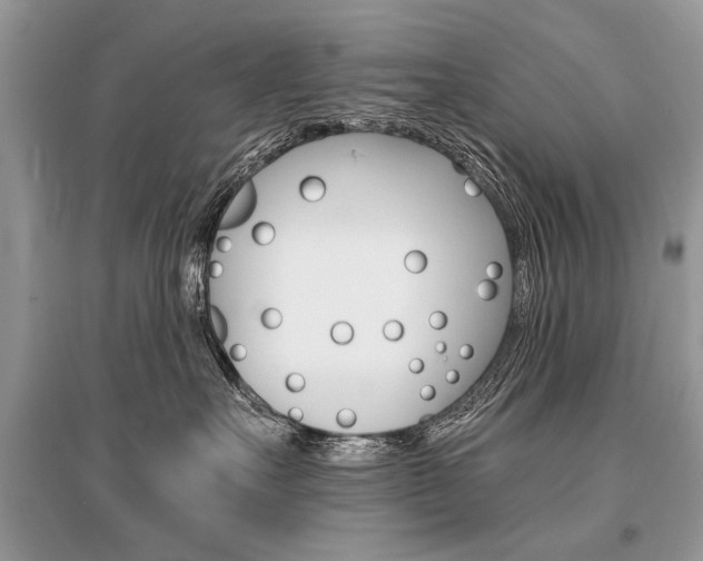 X0000096380527200801241006
