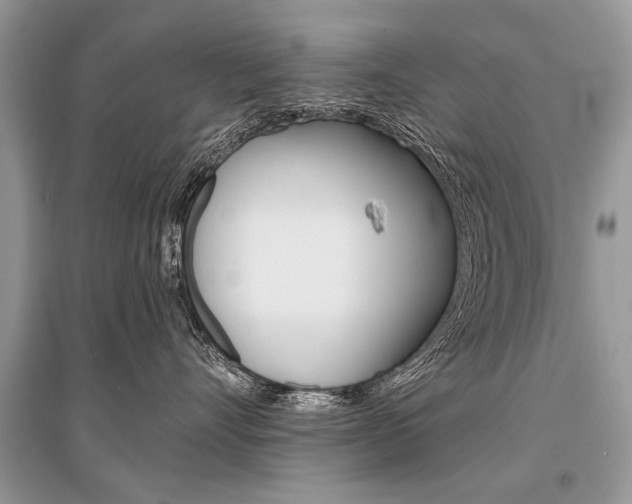 X0000096380528200801241006