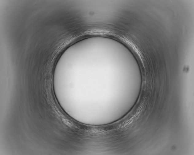 X0000096380529200801241005
