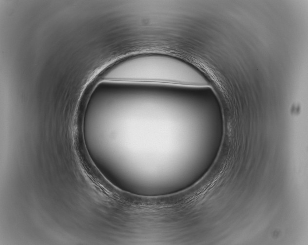 X0000096380532200801241005