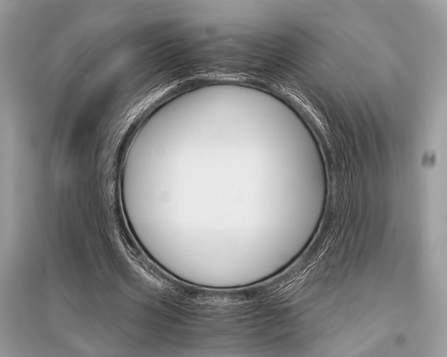 X0000096380533200801241005