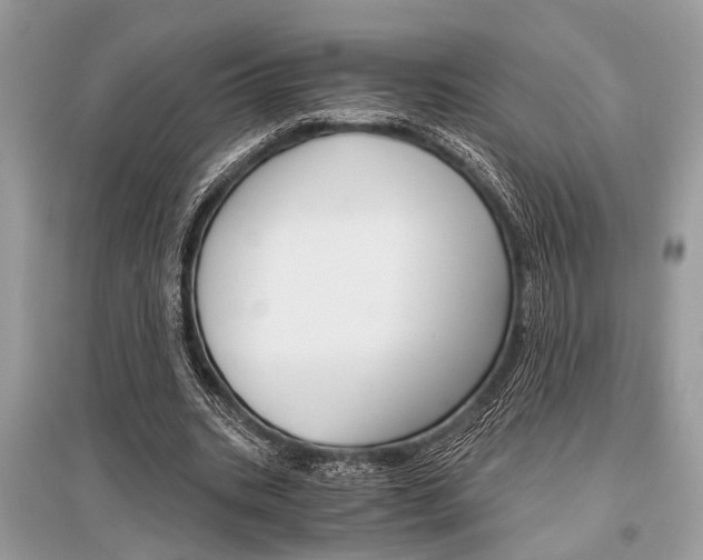 X0000096380535200801241006
