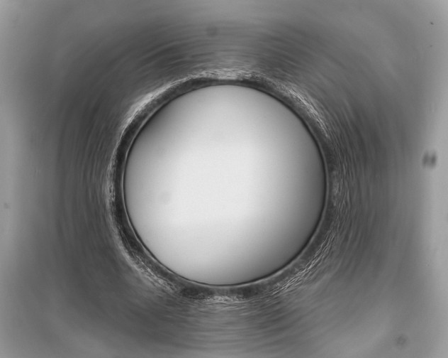 X0000096380536200801241006