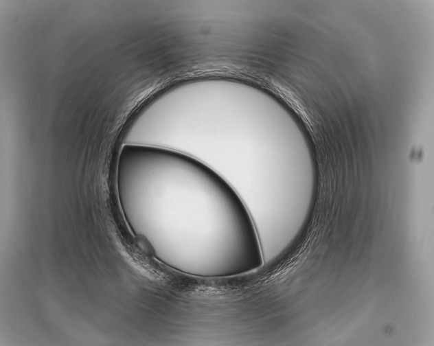X0000096380538200801241006