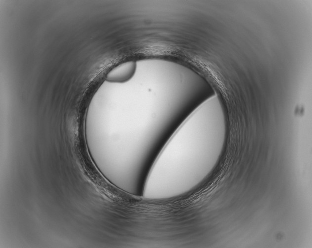 X0000096380539200801241006
