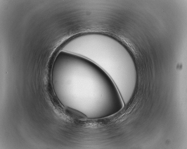 X0000096380540200801241006