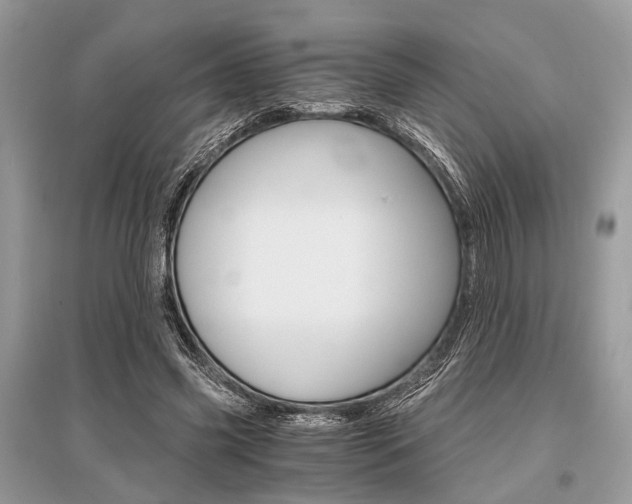 X0000096380541200801241006