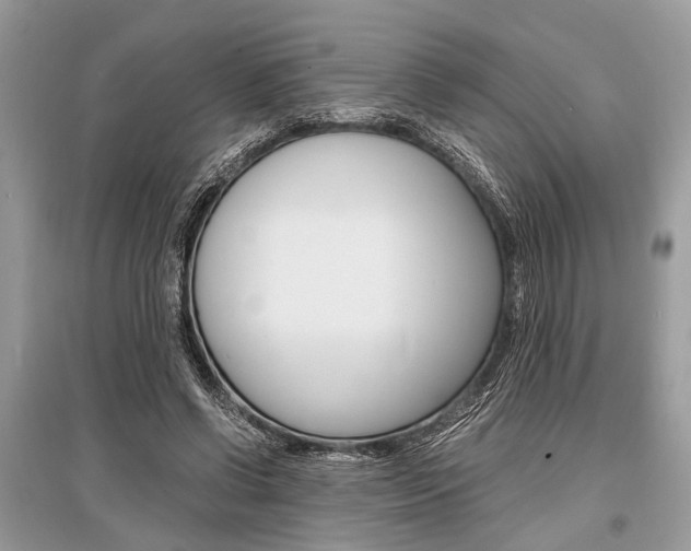 X0000096380542200801241006