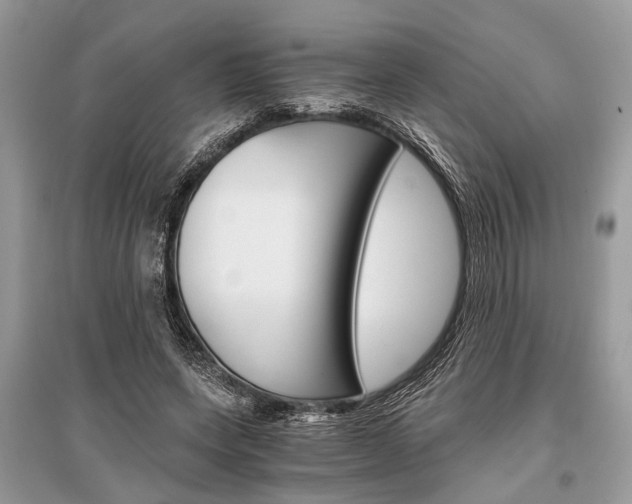 X0000096380543200801241006