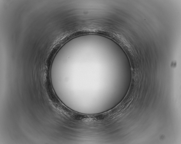 X0000096380544200801241006