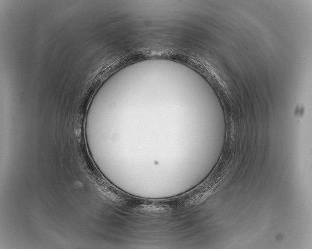 X0000096380545200801241006