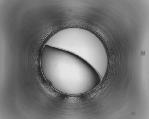 X0000096380546200801241006
