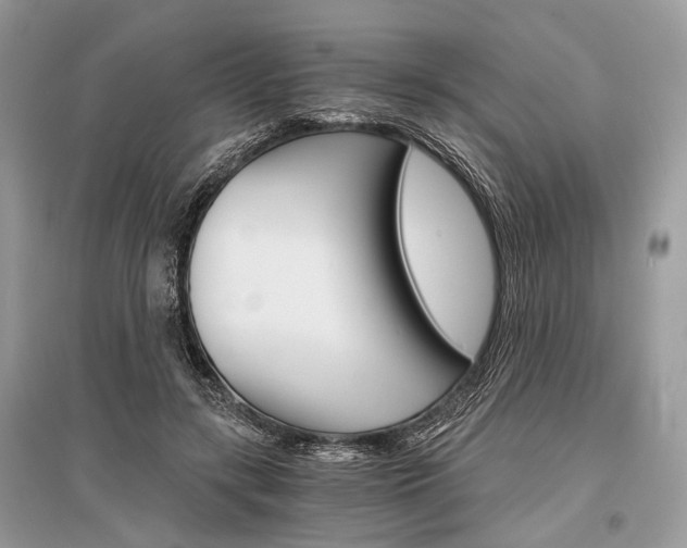 X0000096380547200801241006