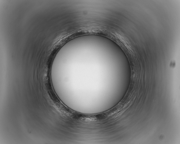 X0000096380548200801241006