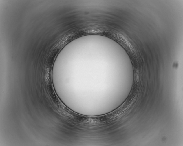 X0000096380549200801241006