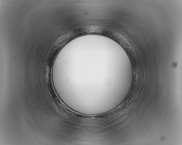 X0000096380550200801241006