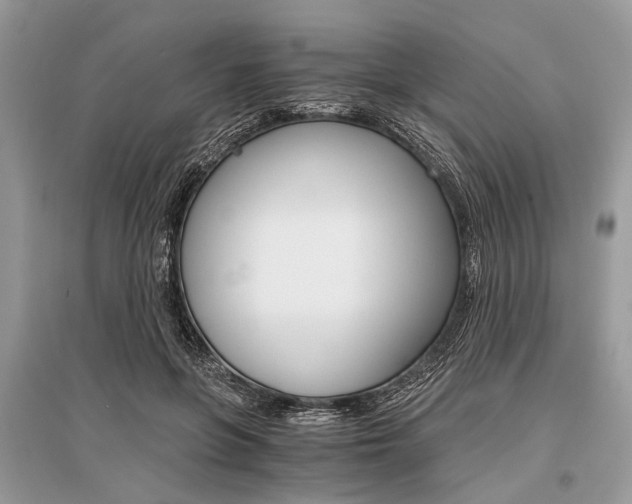 X0000096380551200801241006