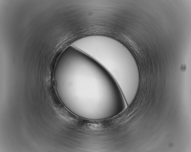 X0000096380552200801241006