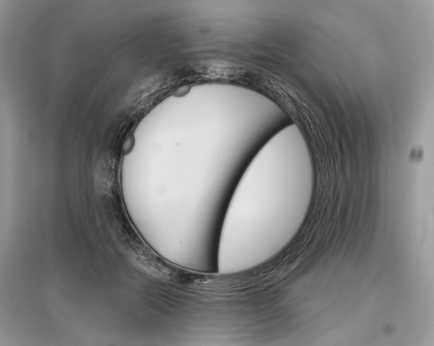 X0000096380554200801241006