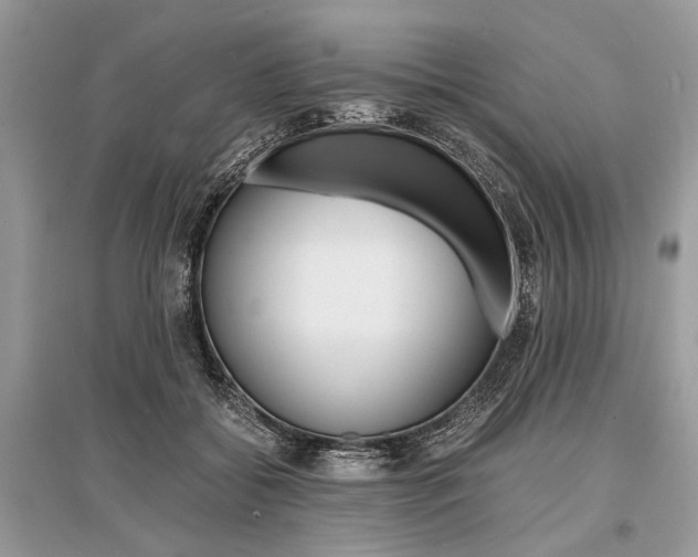 X0000096380556200801241006