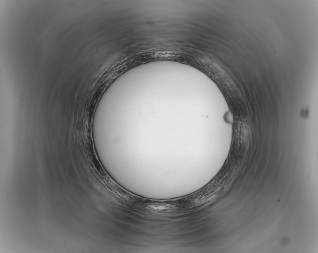 X0000096380557200801241006