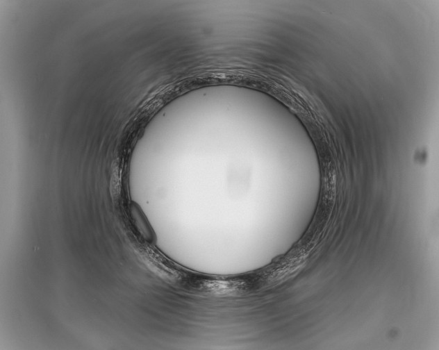 X0000096380558200801241006