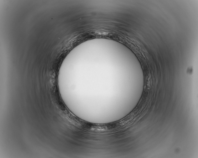 X0000096380559200801241006