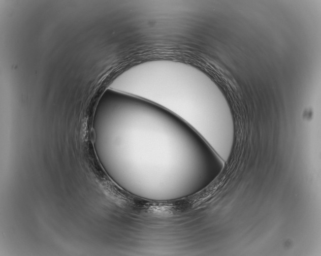 X0000096380560200801241006
