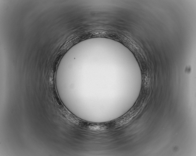 X0000096380561200801241006
