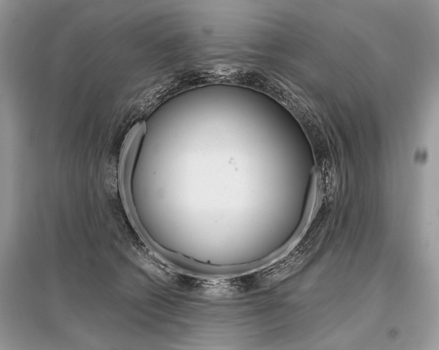 X0000096380562200801241006