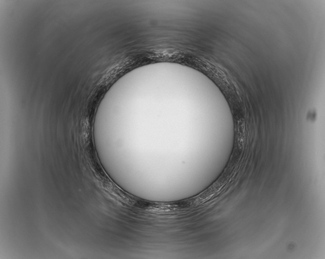 X0000096380563200801241006