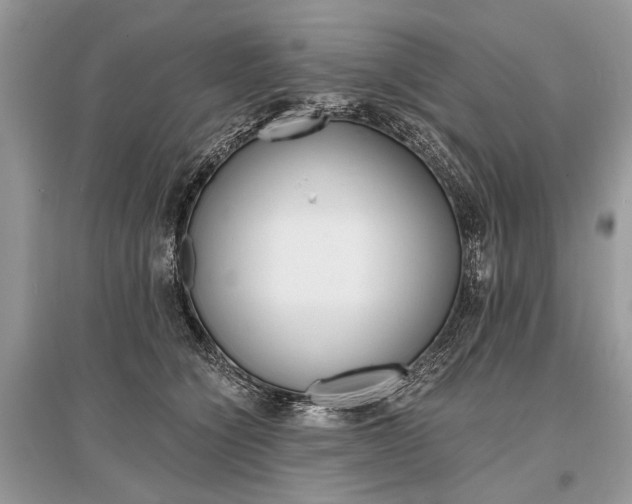 X0000096380564200801241006