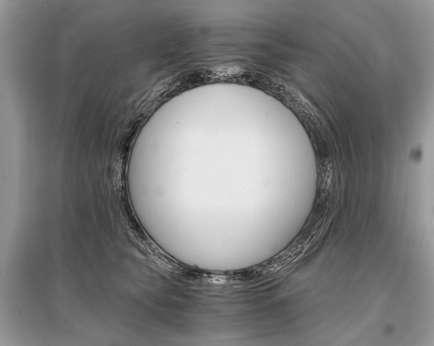 X0000096380565200801241006