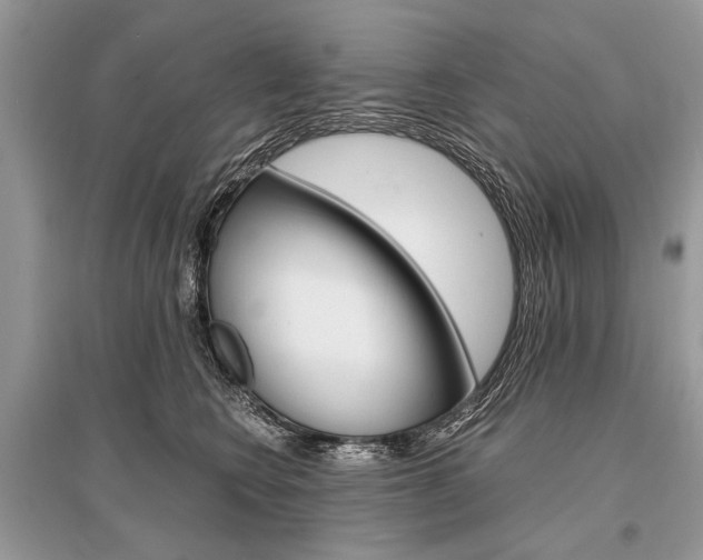X0000096380566200801241006