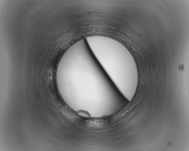 X0000096380567200801241006