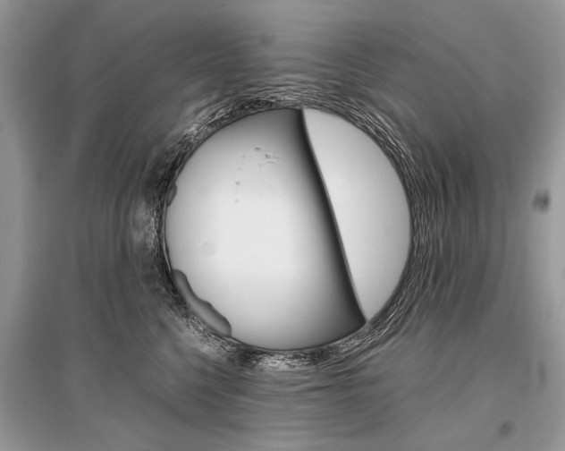 X0000096380568200801241006