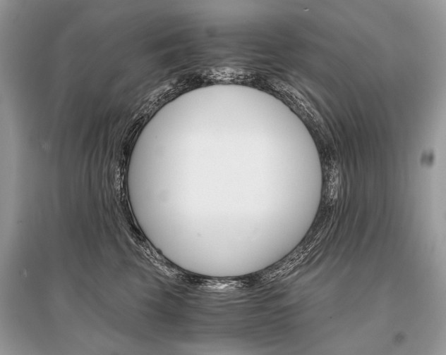 X0000096380569200801241006
