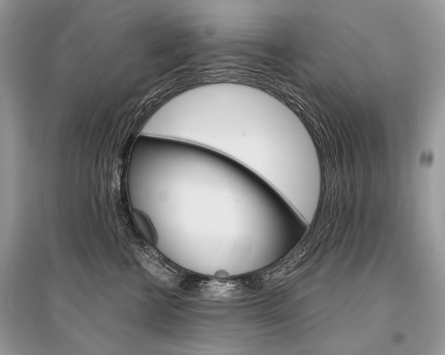 X0000096380570200801241006