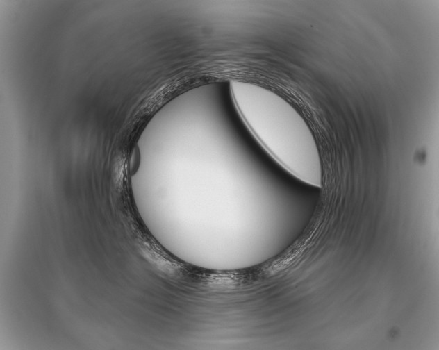 X0000096380574200801241006