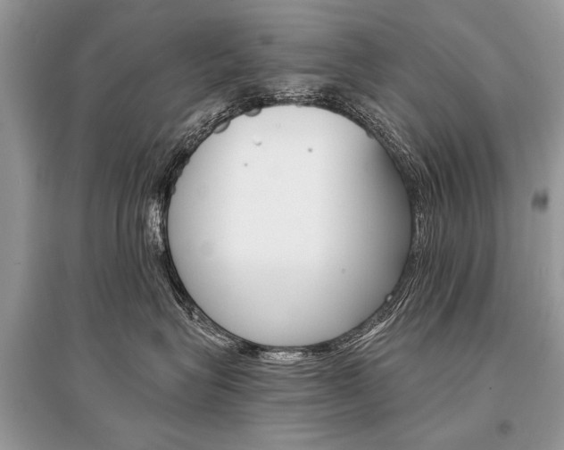 X0000096380575200801241006