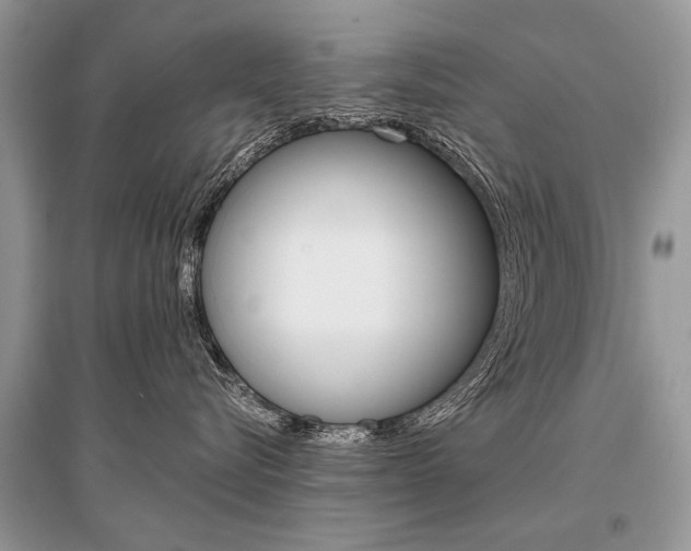 X0000096380576200801241006